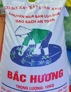 Combo gạo Bắc Hương,quạt(hết hàng)