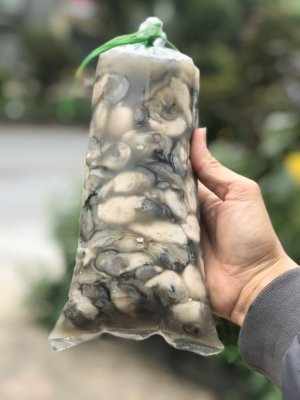 Ruột Hàu Tươi