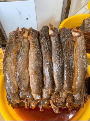 MẮN LÓC NGUYÊN CON