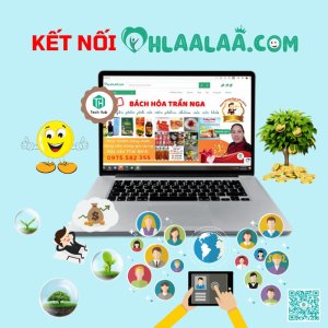 Kết Nối Delippy