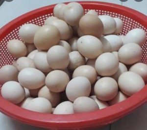 Trứng gà ta (combo 1)