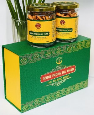 ĐÔNG TRÙNG HẠ THẢO THƯỢNG HẠNG