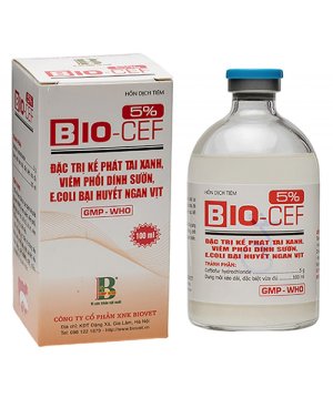 KHÁNG SINH BIO CEF 5% - ĐẶC TRỊ KẾ PHÁT TAI XANH – VIÊM PHỔI DÍNH SƯỜN