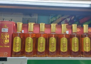 Rượu Linh Chi ( combo 5thùng/60chai )