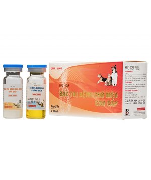 BIOCEF – ĐẶC TRỊ BỆNH CHÓ MÈO CAO CẤP