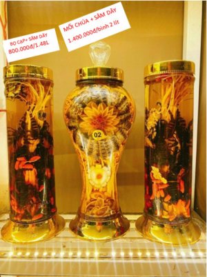 RƯỢU MỐI CHÚA SÂM DÂY