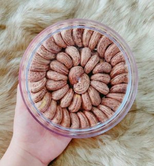 Hạt Điều