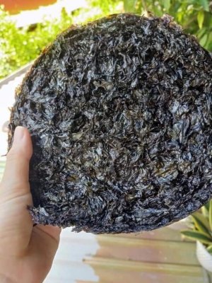 Combo rong biển (Rong mứt, rong chỉ vàng, rong sụn gai)