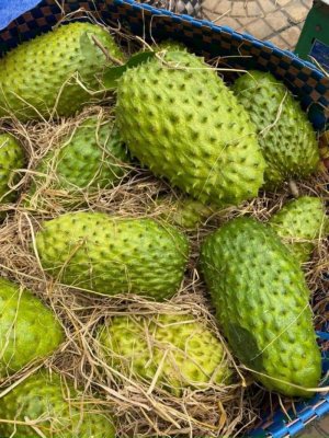 MÃNG CẦU XIÊM