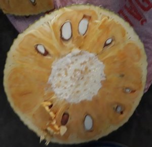 MÍT THÁI