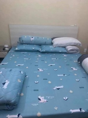 Ga chống thấm cottong nano