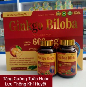 GINKGO BỔ NÃO