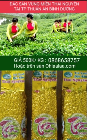 CHÈ MÓC CÂU THÁI NGUYÊN