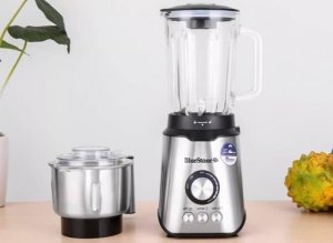Máy xay sinh tố Bluston