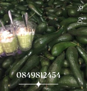 Bơ Đà Lạt