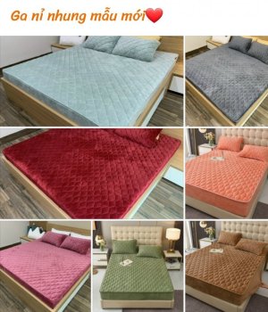 Ga nỉ nhung m8x2m