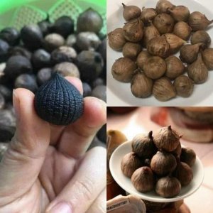 TỎI ĐEN THẦN DƯỢC TỰ NHIÊN