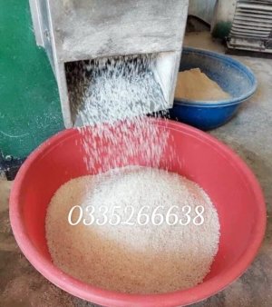 Gạo 8 ngon Thái Bình