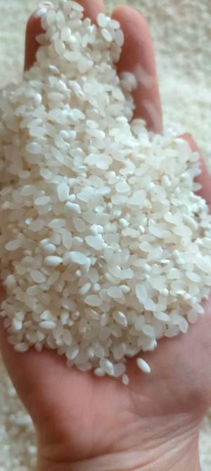 GẠO NẾP LÀO (COM BO 50KG)