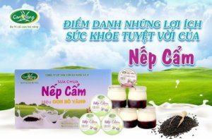 ? SỮA CHUA NẾP CẨM BAVÌ ?