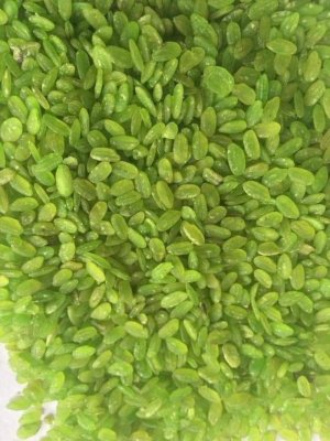 CỐM XANH TÂY BẮC