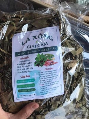 LÁ XÔNG GIẢI CÃM THẢI ĐỘC CƠ THỂ