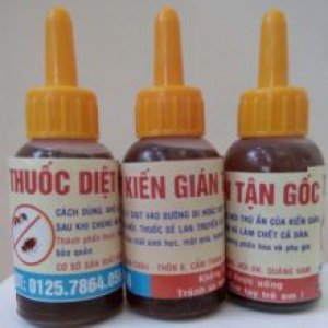 Thuốc Diệt Gián, Kiến Sinh Học