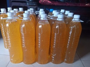 Mật ong rừng Tây Bắc
