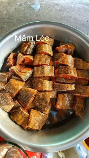 MẮM CÁ LÓC CẮT KHÚC