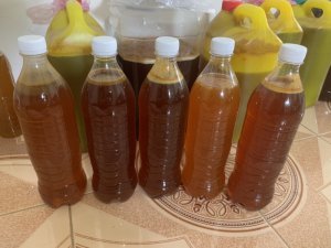MẬT ONG RỪNG SƠN LA