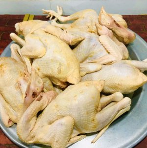 Combo Gà Mái Tơ Mạnh Hoạch