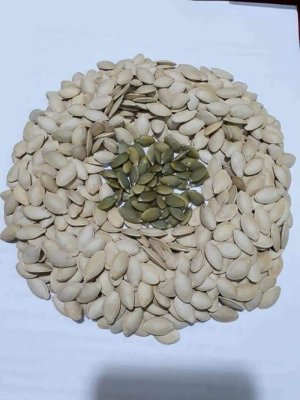 Hạt bí mèo