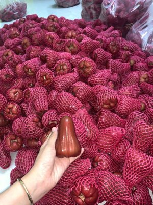 MẬN AN PHƯỚC