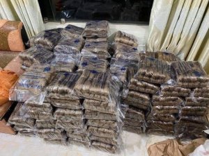 MIẾN DONG PHIA ĐÉN CAO BẰNG
