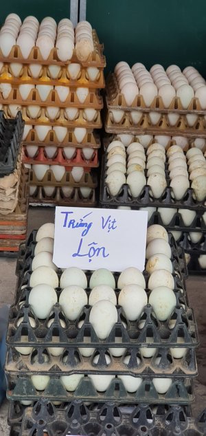 Trứng vịt lộn (1 quả)