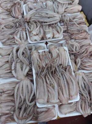 RÂU MỰC TƯƠI