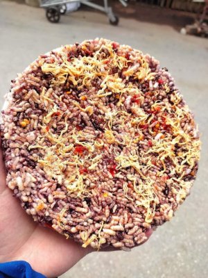 CƠM CHÁY GẠO LỨT