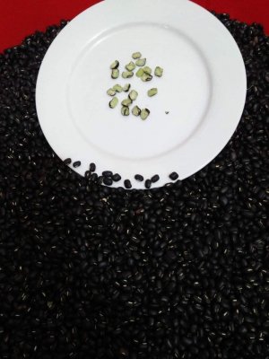 COMBO5 KG ĐỖ ĐEN XANH LÒNG