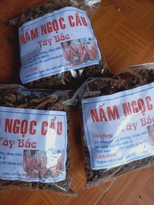 NẤM NGỌC CẨU (1KG)