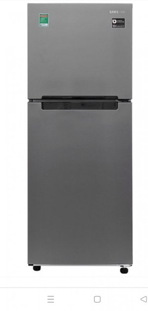 Tủ lạnh Samsung RT19M300 BGS-208 Lít