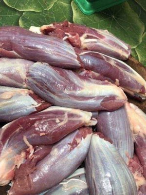 Bắp bò  ( hàng NK Nga)