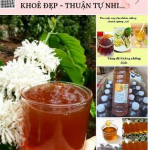 Mật ong NamBan