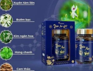 TPCN Thiên An Việt