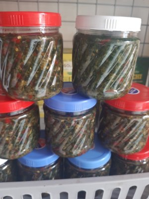 CHẲM CHÉO ƯỚT CỦA ĐỒNG BÀO THÁI SƠN LA