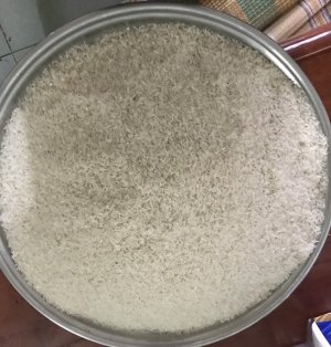 gaodateh xay xat trực tiếp