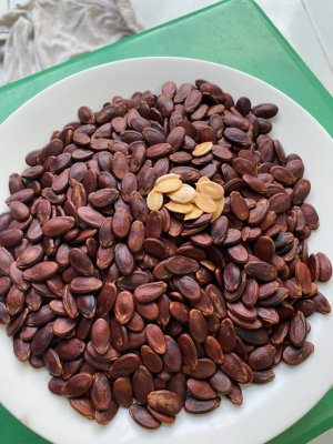Hạt Dưa